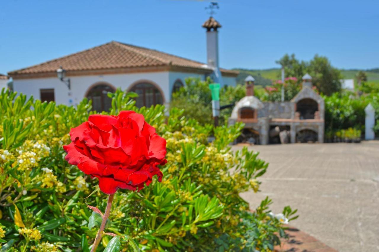 La Esperanza 1 Y 2 Villa Medina-Sidonia Ngoại thất bức ảnh